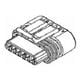 Aptiv (formerly Delphi) 12162210-B Default Thumbnail