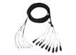 Multi-Fiber Cable Assemblies