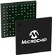 Microchip Technology ATMXT640U-CCU023