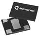 Microchip Technology DSA1522AA1A-100M0000VAO