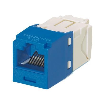 2525zoo様 CONVERSE ALL STAR BOARDERSTAR OX / SHINYAKOZUKA｜BILLY'S ENT