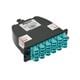 Panduit FC2XN-24-10B2