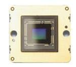 Vision Components MIPI IMX290 Enlarged Image